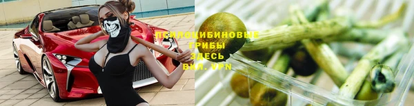 гидропоника Аркадак