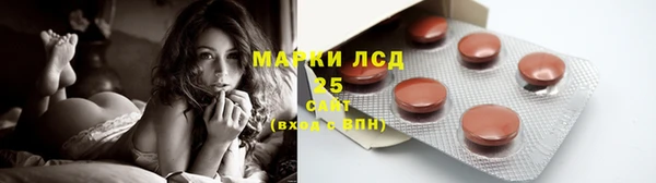 гидропоника Аркадак