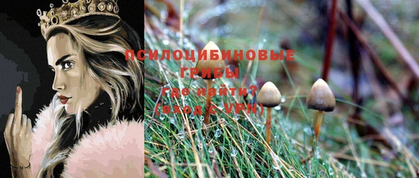 винт Армянск